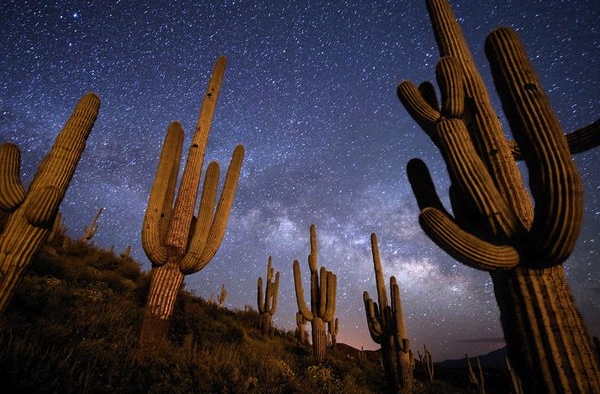 Arizona Skies - Planetarium Feature
