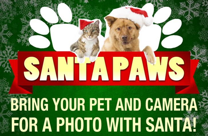 Santa Paws