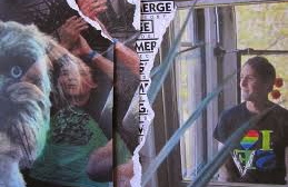 Vertical Scratchers - VIVA PHX