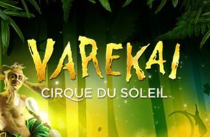 Varekai - Cirque du Soleil