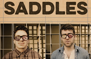 Saddles