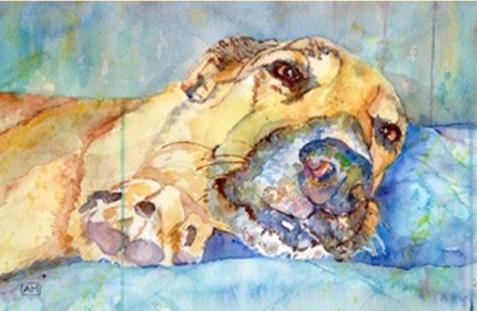 Animal Essence - First Friday Art Show
