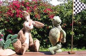 Jack Rabbit and the Desert Tortoise