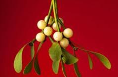 7 Minutes Under the Mistletoe