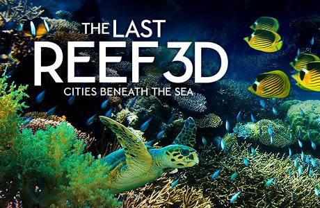 The Last Reef 3D: Cities Beneath The Sea - IMAX