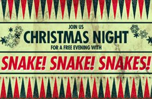 Christmas Night with Snake! Snake! Snakes!
