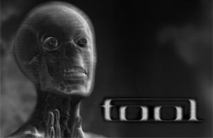 Tool