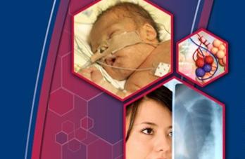 Pulmonary Surfactants: From Bubbles to Babies